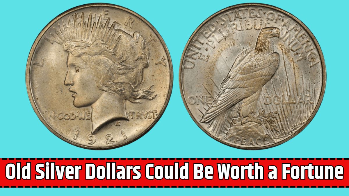Old Silver Dollars Could Be Worth a Fortune
